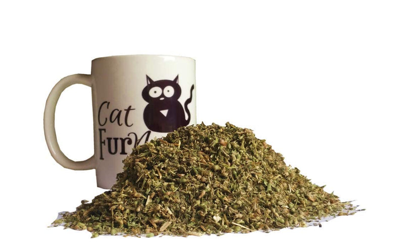 Cat FurNature. co .uk Extra Strong Catnip Tub - PawsPlanet Australia