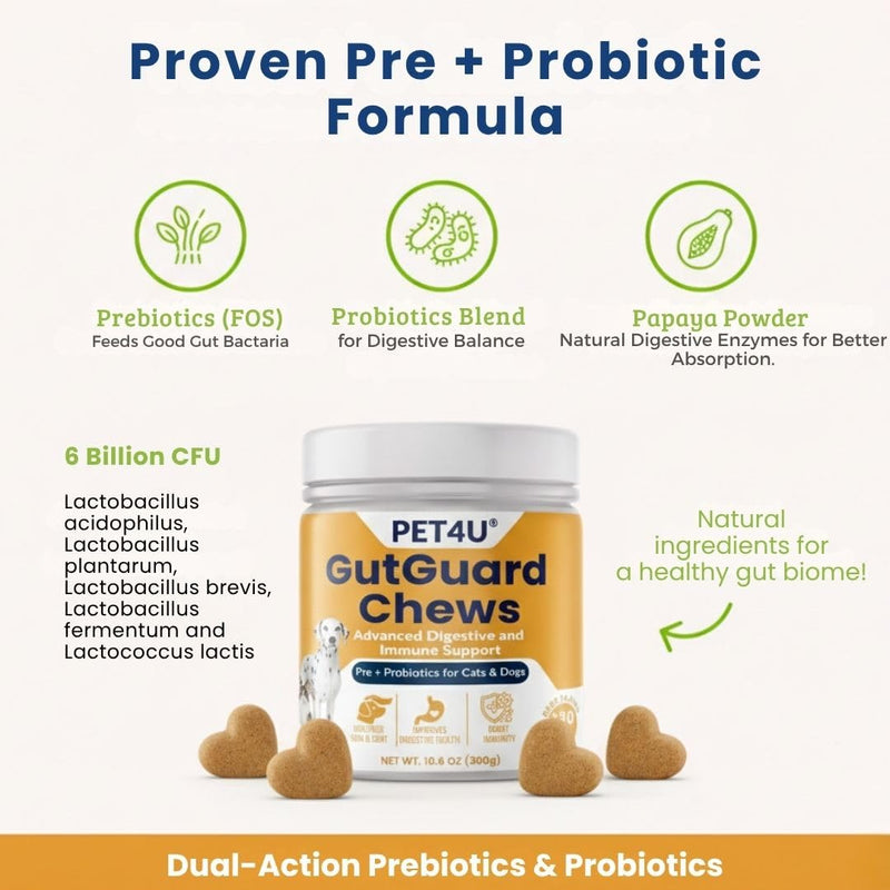 PET4U® Pre (FOS) & Probiotics for Dogs and Cats - Supports Healthy Digestion, Regular Bowel Movements - Anti Diarrhea & Constipation Relief - 120 Heart Chews, Beef Flavor