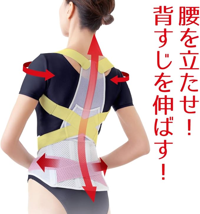Alphax Posture Supporter, Made in Japan, Posture Belt Corrects From Doctor's Waist, L-LL - NewNest Australia