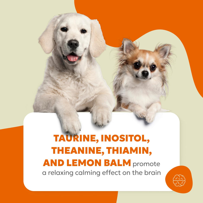Canine Calm Soft Chews | Calming Treats for Dog Anxiety, Firework Relief for Dogs, for Managing Stress and Relaxing | 60 Chews (180g, 6.35 oz.) - PawsPlanet Australia