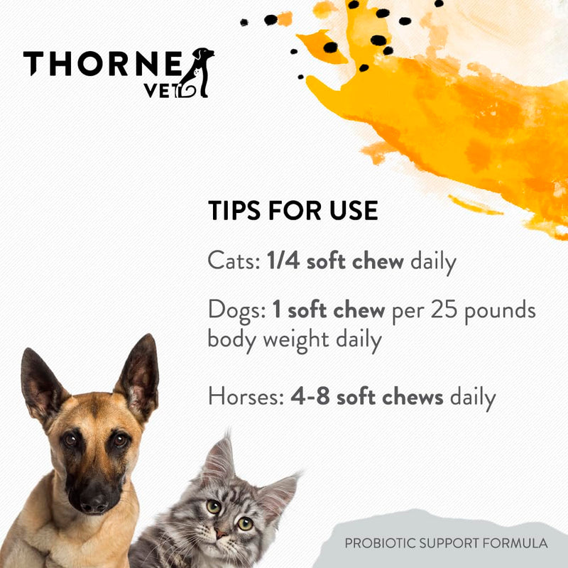 ThorneVET Probiotic Support Formula – Gastrointestinal Support for Dogs, Cats & Horses 60 Soft Chews - PawsPlanet Australia