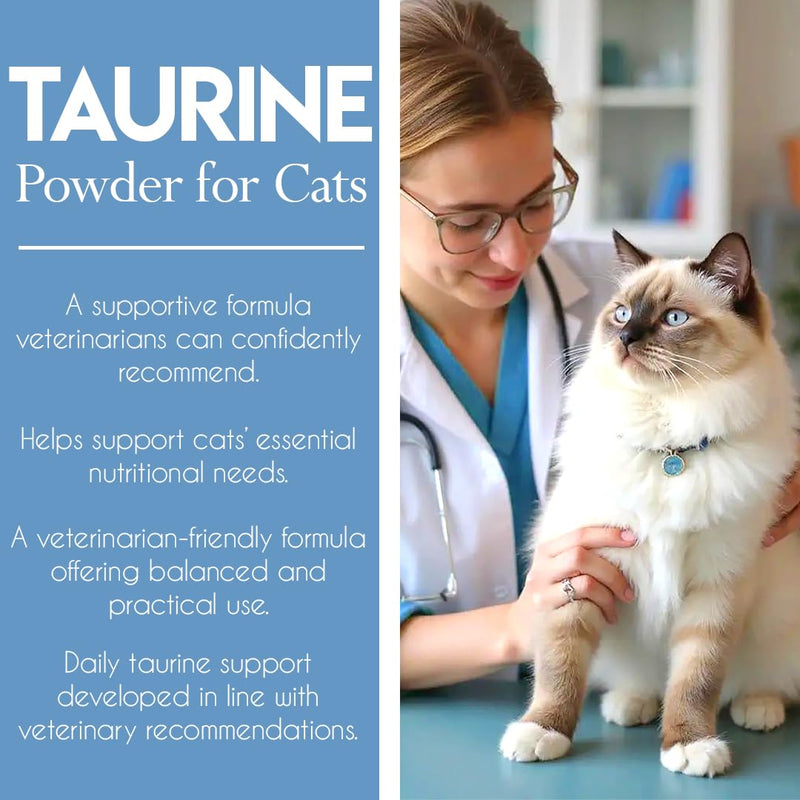 KittySupps Taurine Supplement for Cats – 99.99% Pure Taurine Powder – Supports Daily Nutrition & Overall Wellness – Easy to Mix in Food, Includes Measuring Spoon