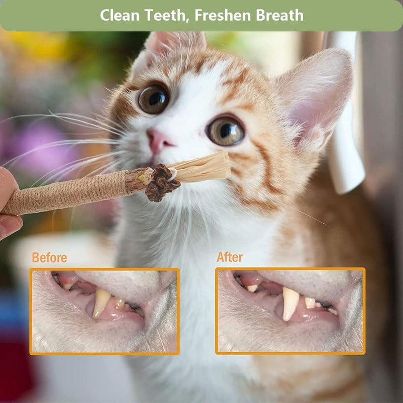 5 PCS Silvervine Sticks for Cats - Natural Cat Chew Toys for Teeth Cleaning, Kitten Teething & Aggressive Chewers 5 Pack