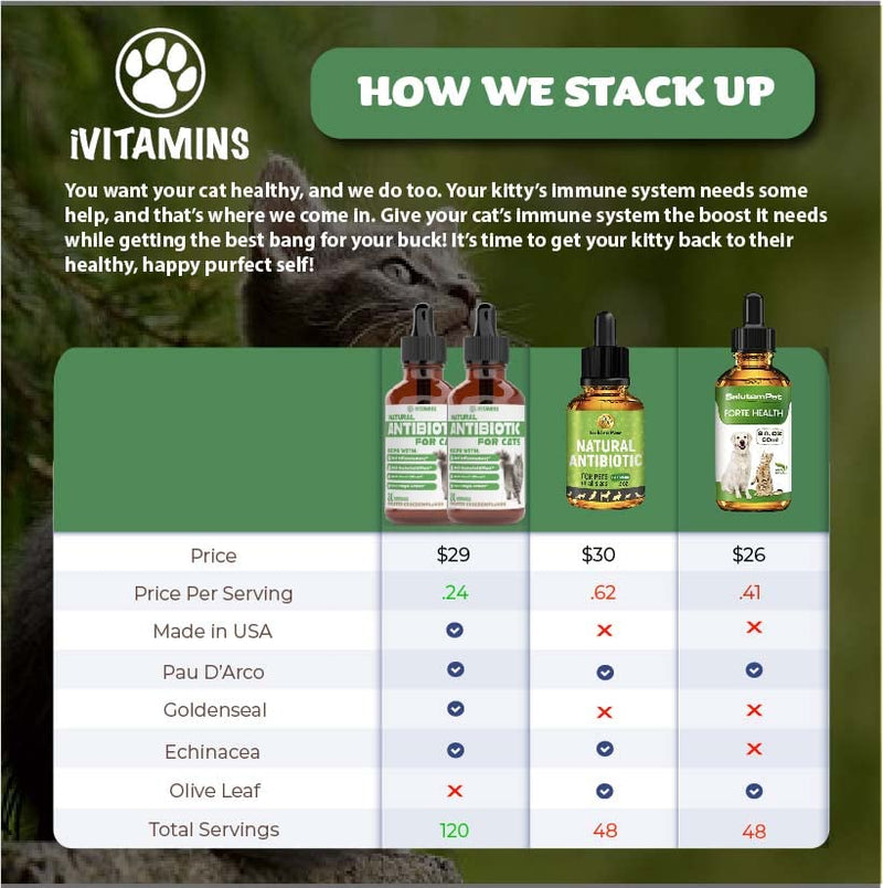 Natural Antibiotics for Cats | Cat Supplements | Cat Antibiotic | Cat Antibiotics | Cat Immune Support | Antibiotic for Cats | Cat Multivitamin | Multivitamin for Cats | 2 Pack: 60 Servings Total - PawsPlanet Australia