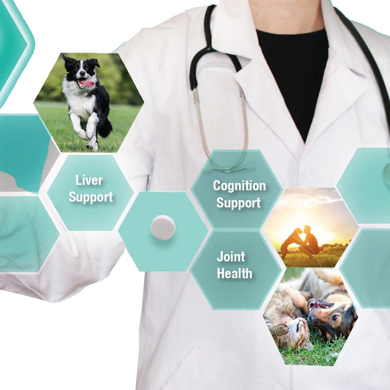 Denestra Same for Dogs – S-Adenosyl-L-Methionine (Same) – Liver, Joint & Cognitive Support for Dogs – Promotes Brain Function & Mobility – Vet-Approved Formula – 200 mg – 60 Tablets 60-Tablet