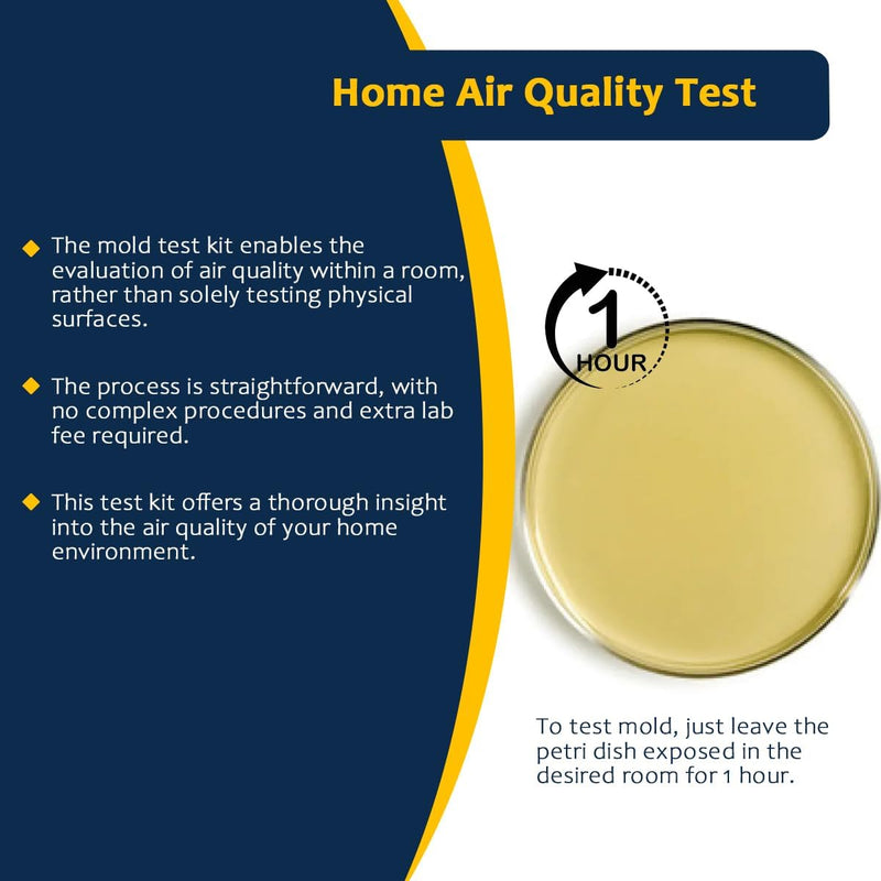 Mold Testing Kit with 5 Individual Tests - DIY Mold Test Kit for Home - Includes Detailed Mold Identification Guide - Fast and Reliable Mold Detector for Home