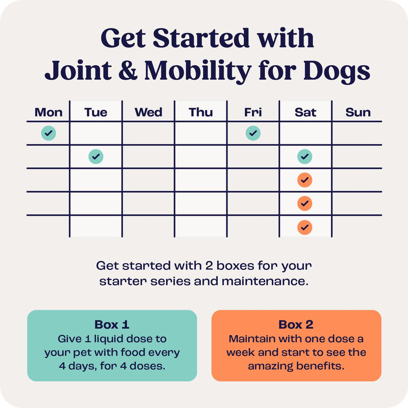 Summit Canine Joint and Mobility Supplement for Large Dogs (Previously Lift), All Natural Liquid Chondroitin with Liposomal Delivery for Arthritis, Hip & Joint Support Vitamin, (Dogs 75+lbs) Large Dogs Over 75lbs - PawsPlanet Australia