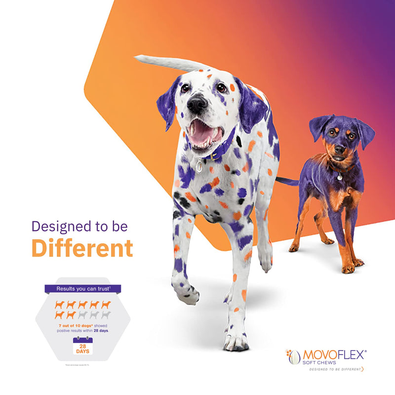 MOVOFLEX Joint Support Soft Chews for Small, Medium and Large Dogs 1 Pack (60 count) - PawsPlanet Australia