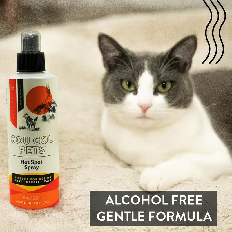 Hot Spot Spray Holistic Natural Derived Herbal for Dogs, Cats and Horses: Fast Acting to Soothe Hot Spots, Relieve Irritated Skin, Rash: Veterinarian Recommended: - Made in USA - 8 oz