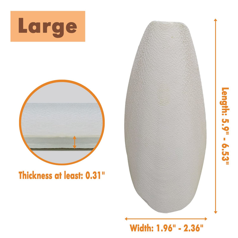 6.29"-7" Large Cuttlebone for Birds, Parakeets Cuddle Bone, Cuttlefish Bone for Sharp Beaks, Natural Calcium for Parrots Tortoise, 4pcs - PawsPlanet Australia