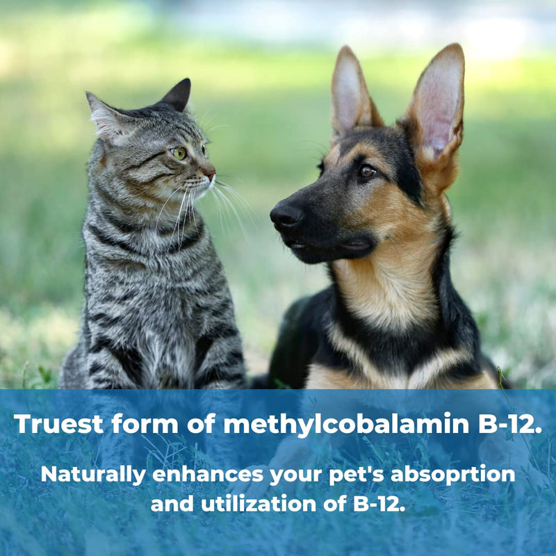WonderLabs Pet Factor B-12 | Vitamin B-12 in Methylcobalamin Form | Popular in Treatment of EPI in Dogs 180 - NewNest Australia
