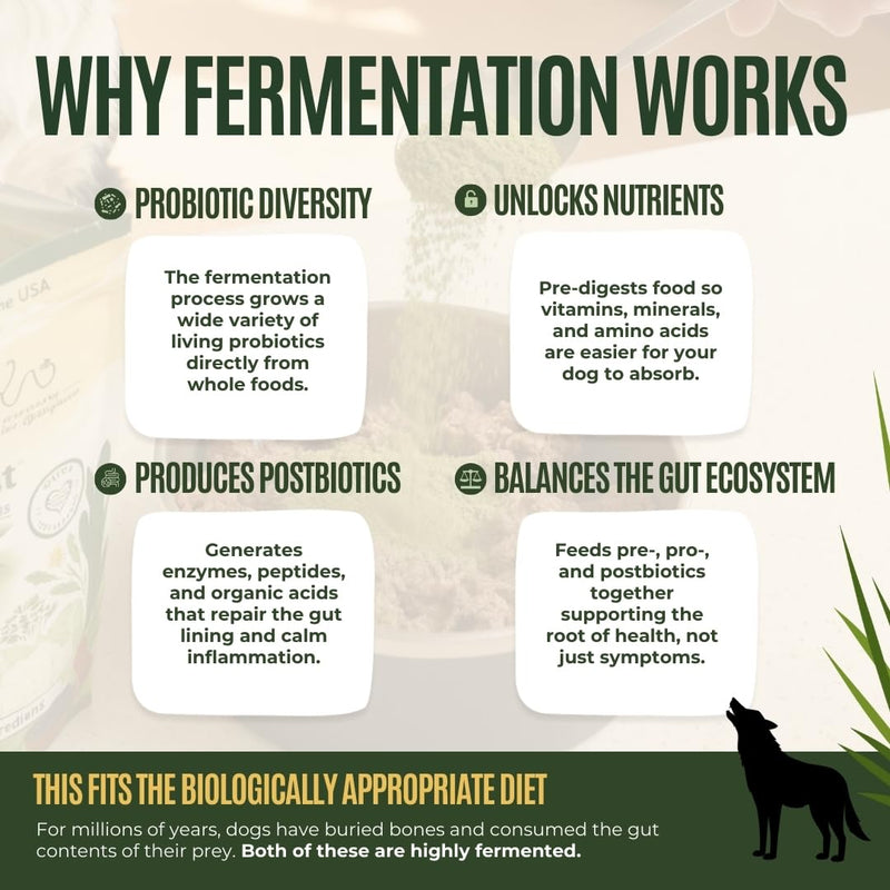 Gussy's Gut Fermented Superfood Reset & Reward Bundle (3oz Trial Boost)