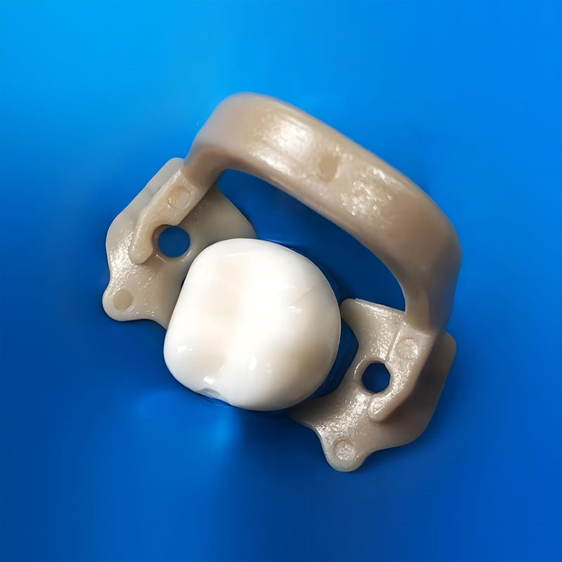 6 Pcs Dental Resin Rubber Dam Clamps Clip, Dental Resin Rubber Dam Clamps, Dam Soft Clamps Premolar Rubber Barrier Clip Resin Material. (6pcs) 6pcs
