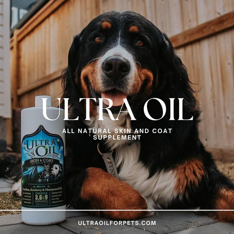 Ultra Oil Skin & Coat Supplement for Dogs & Cats with Hemp, Flaxseed, Grape Seed, Fish Oils - 16oz - PawsPlanet Australia