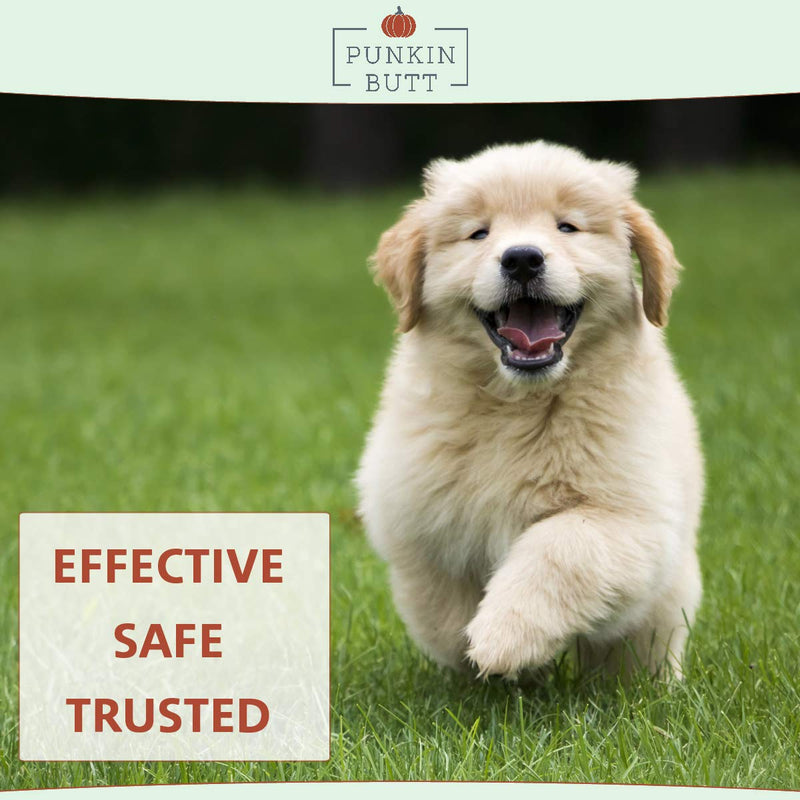 Punkin Butt for Pets Puppy Teething Oil to Stop Chewing and Relieve Discomfort | All Natural, Organic, Safe for Dogs, Chemical-Free (2 oz) - PawsPlanet Australia