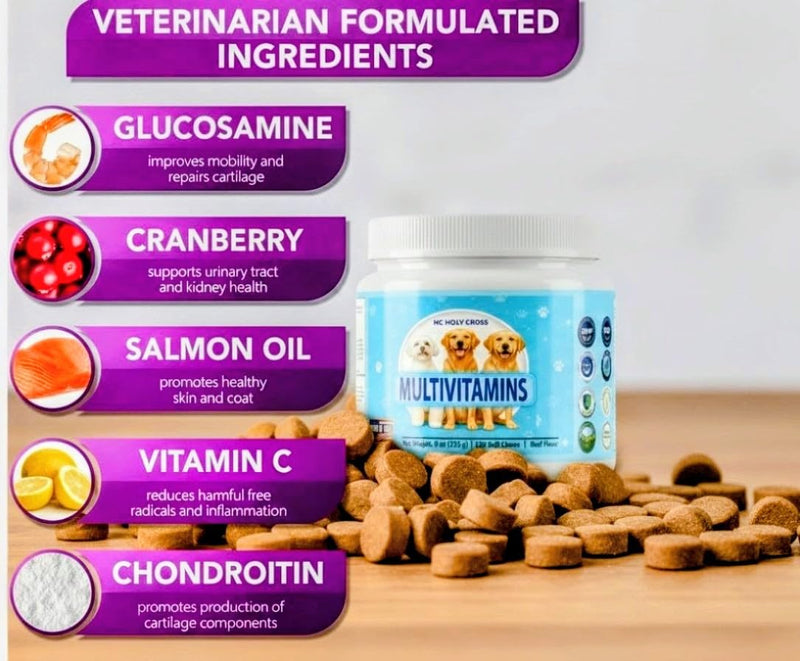 24-in-1 Dog Multivitamin Soft Chews for Dogs - Hip and Joint Supplement with Glucosamine, Chondroitin, Probiotics & Omega 3 - Immune Support, Skin & Coat Health - 120 Count - Beef Flavor