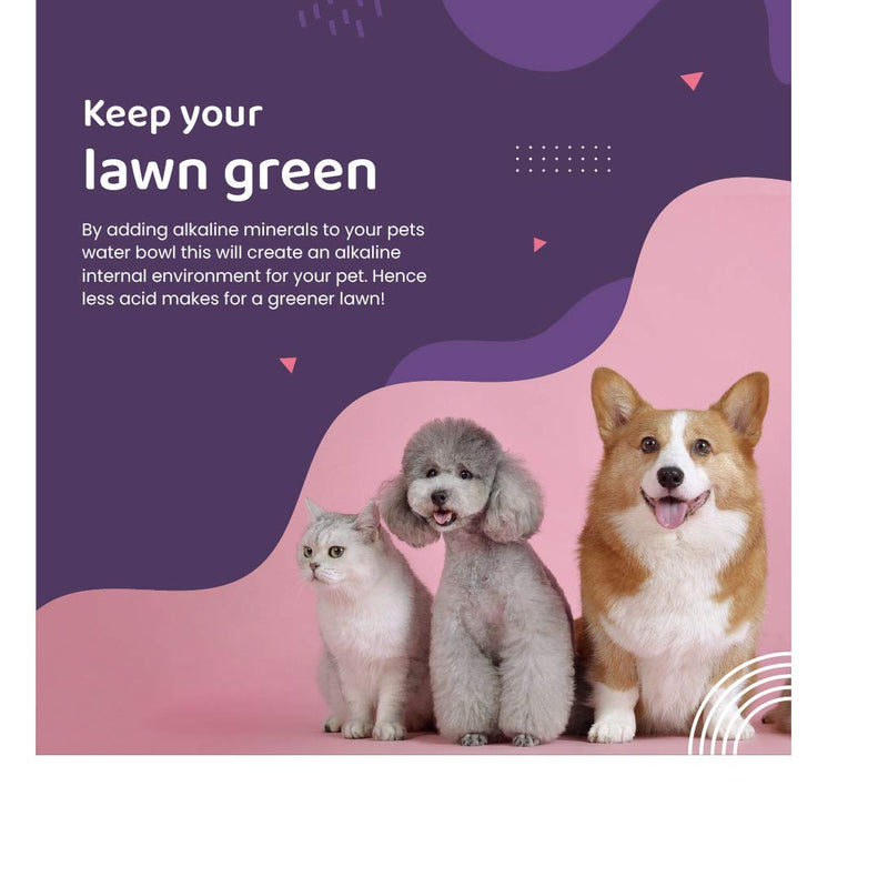 Alkazone Alkaline Multi Mineral Drops for Cats and Dogs - Animals are Naturally Designed to be More Alkaline Than Acidic. Their Bodies can Benefit from Using Alkaline Water for Pets with Minerals - PawsPlanet Australia