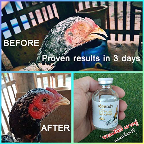 EXTER Sure Rooster Booster Health Vitamin Support Fast Result, Stimulates & Improved Immunity Feed Nourishing Poultry (EXTER Sure Increasing Fast Energy 10 ML.) - PawsPlanet Australia
