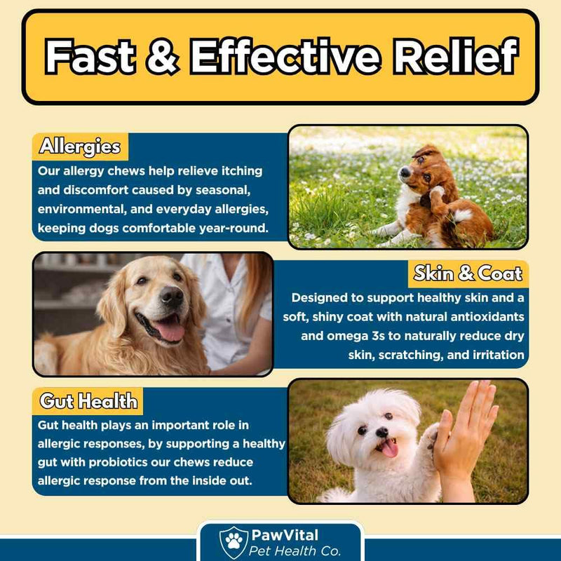 Dog Allergy Chews - 200ct Dog Allergy Relief for Itching Skin & Paw Licking - Allergy and Immune Chews for Dogs with Probiotics & Colostrum - Anti Itch Supplement for Seasonal Allergies, Salmon Flavor