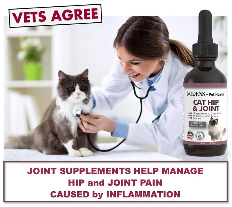 NODENS CAT Hip and Joint Glucosamine for Cats with Chondroitin and Opti-MSM® Hyaluronic Acid for Improved Joint Flexibility and Pain Relief from Inflammation and Cat Arthritis 2 floz - PawsPlanet Australia