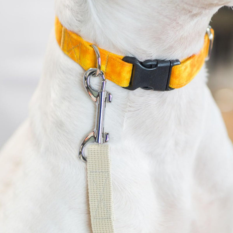 6 Pack Double Snap Hooks Double Ended Bolt Snaps Hook Double Ended Clips Dog Leash Hook Clips Pet Chain Buckle Metal Trigger Snap Hooks Zinc Alloy Double Hook Clip Heavy Duty Chain Clip (Silver)