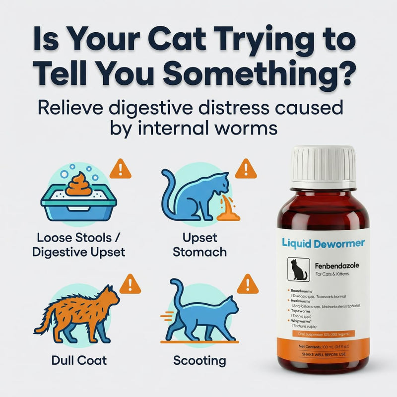 Dewormer for Cats & Kittens Liquid Fenbendazole - Broad Spectrum Suspension - Removes Roundworm, Hookworm, Tapeworm - Easy to Mix with Food, Includes 3ml Dosing Syringe (100ml)