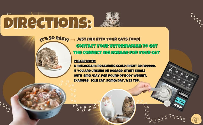 Taurine for Cats - Taurine Powder for All Ages Including Kittens - 144+ Servings - 500mg Supplement - unscented (6oz) 6oz