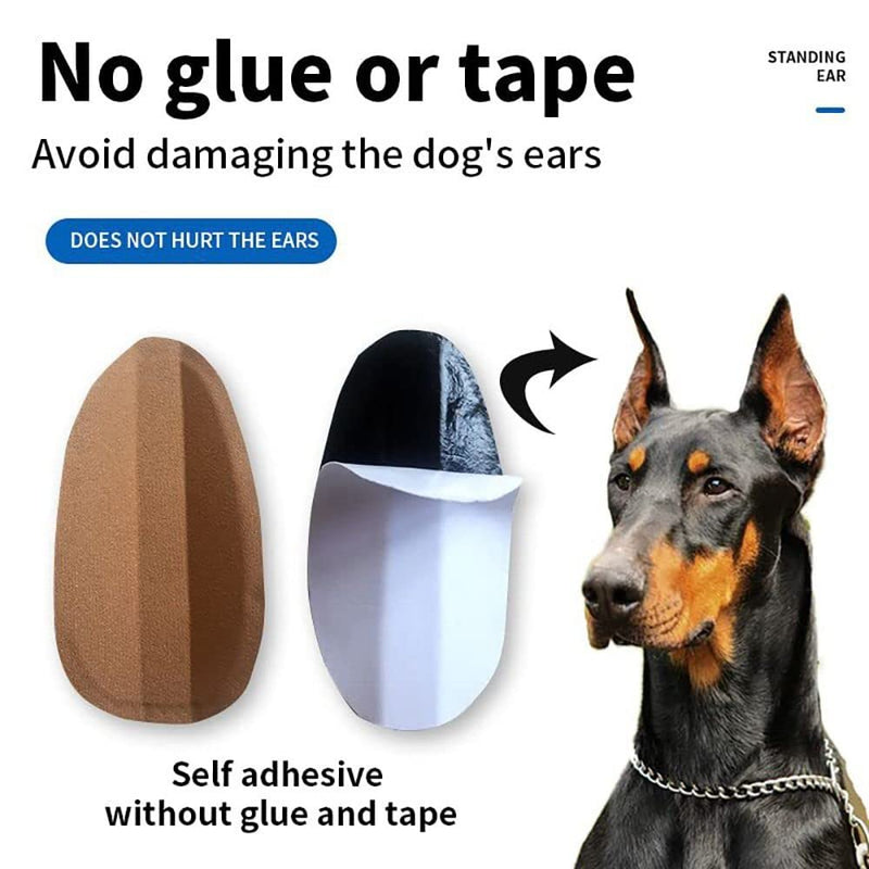 Andy's Orchids Dog Ear Stand Up Support Tool Sticker, Dog Ear Fixed Correction Vertical Holder for Doberman Pinscher Sheltie Corgi Puppies 2.7 * 1.38 inch - PawsPlanet Australia