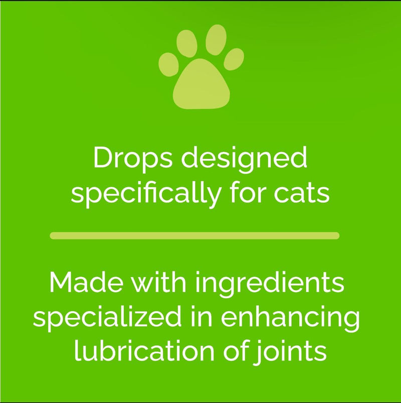 Artricat Dietary Supplement by Interfarma Corp | Cartilage Protection, Reduce Inflammation, & Joint Support for Cats | with Glucosamine, Collagen, & Hyaluronic Acid | Pineapple Flavor, Drops. SINGLE