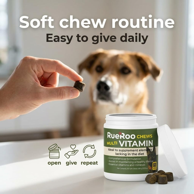 All-in-1 Multivitamin Chews for Dogs – Glucosamine, MSM, Salmon Oil, Turmeric, Mushrooms & Probiotics – Joint, Skin, Immune, Digestive & Energy Support – Puppies to Seniors – 60 Soft Chews