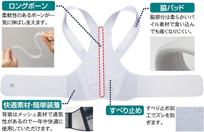 Alphax Posture Supporter, Doctor's Firm Back Belt, M-L Made in Japan - NewNest Australia