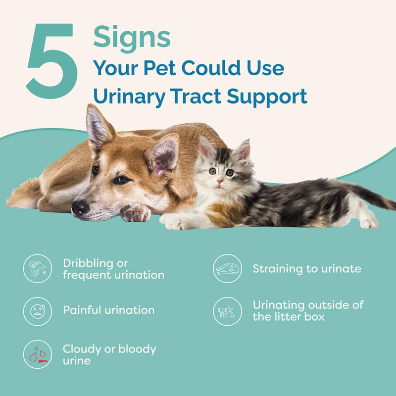 PranaPets Urinary Tract Support Liquid Supplement for Pets | Dog & Cat Urinary Supplement | Natural Bladder Support for Dogs & Cats