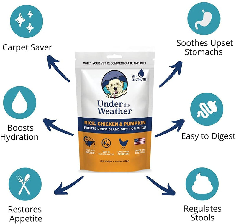 Under the Weather Easy to Digest Bland Dog Food Diet for Sick Dogs | Contains Electrolytes - Gluten Free, All Natural, Freeze Dried 100% Human Grade Meats | 6 Pack - Rice, Chicken & Bone Broth Rice, Chicken & Pumpkin 6 Ounce (Pack of 2)