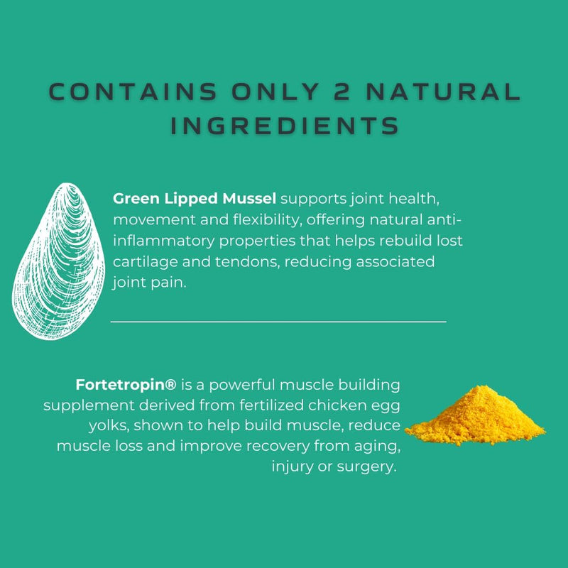 MYOS Muscle & Joint – All Natural Canine Joint Health Supplement Powered by Fortetropin with Green Lipped Mussel – Reduce Muscle Loss, Boost Joint Mobility & Improve Recovery and Reduce Inflammation - NewNest Australia
