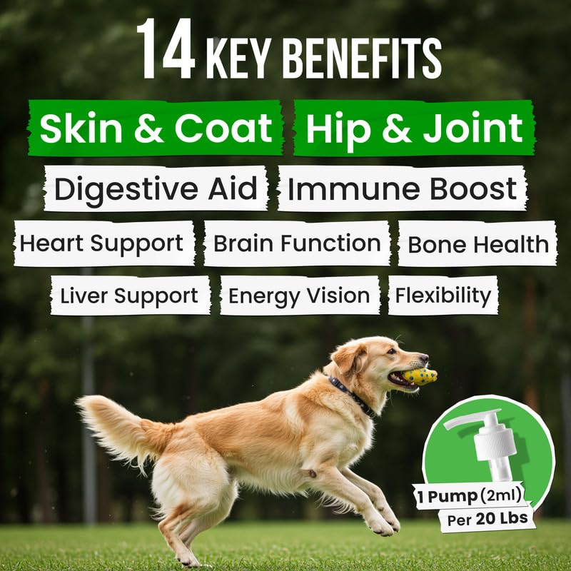 Fish Oil for Dogs & Cats - Natural Omega-3 - Skin & Coat Support - Liquid Food Supplement for Pets - Natural EPA + DHA Fatty Acids for Joint Function, Immune & Heart Health - 8 (fl oz) Anchovy