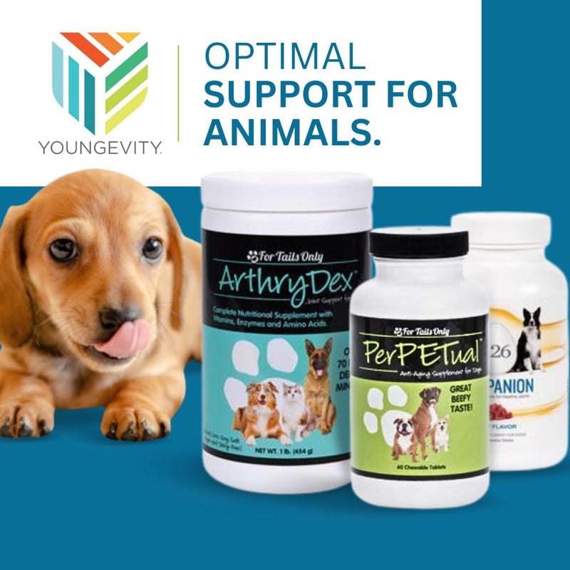 Chewable Dog Nutrition Companion i26 Puppies to Adults - 60 Beef Tabs - PawsPlanet Australia