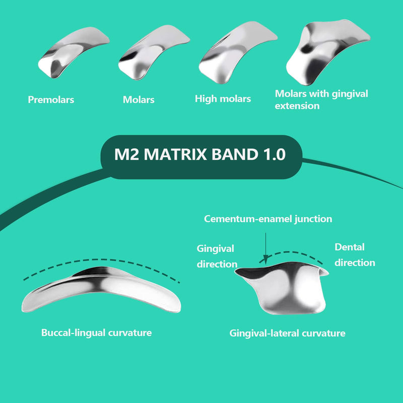 Dental Sectional Matrix System Kit, Dental Sectional Matrix Resin Clip Clamping Ring, M2 Dental Matrix Bands Suitable for Repairing Longer Surface Contacts.