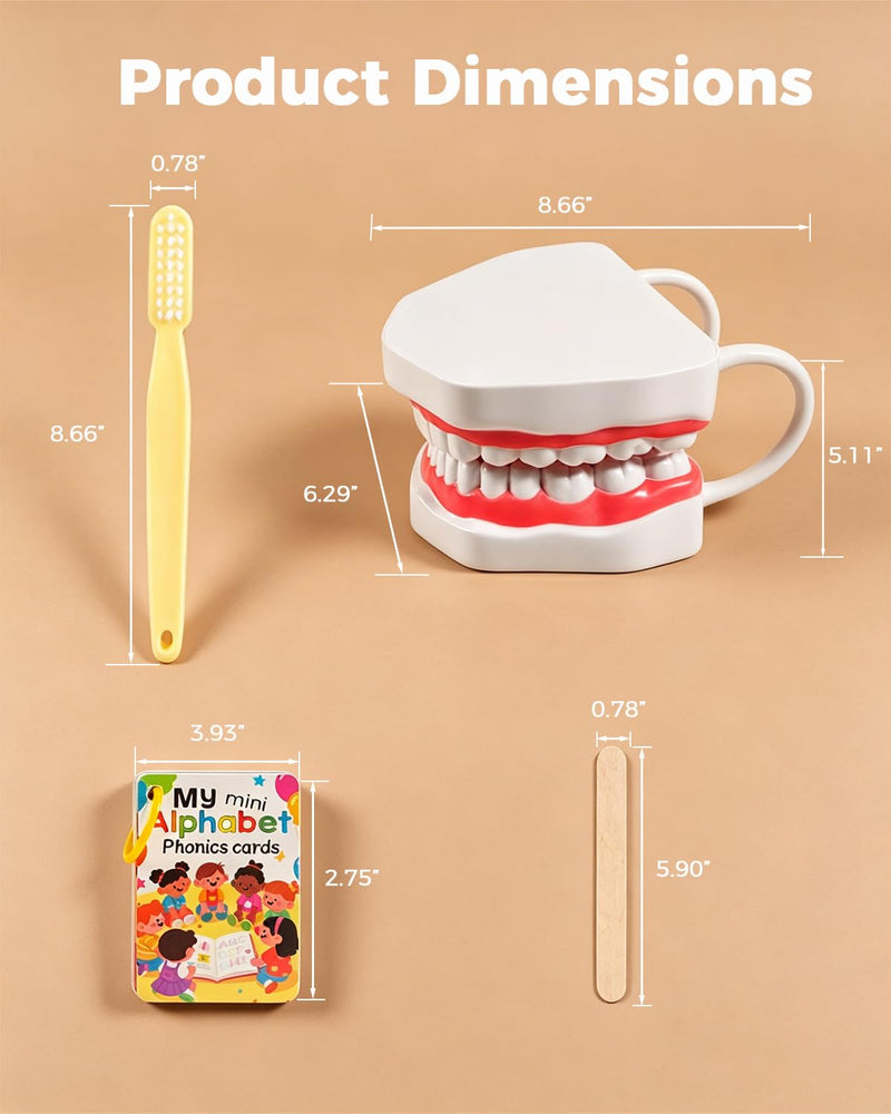 6X Teeth Mouth Model Set with White Hinge, Includes Tongue Depressor, Toothbrush and Letter Cards, 6X Enlarged Oral Cavity Model for Children's Brushing Training and Dental Hygiene Teaching