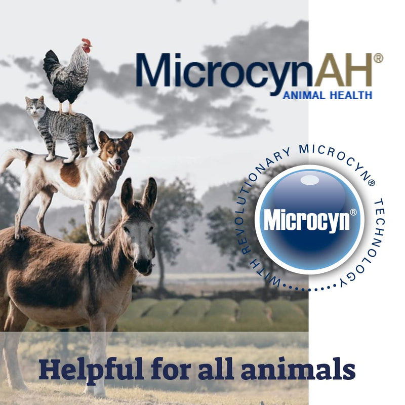 MicrocynAH Anti-Itch Spray Gel with Moisturizing Dimethicone for Dogs| Non-Toxic Spray Formulated to Sooth | Veterinarian Recommeneded Non-Toxic Formula | 8oz - PawsPlanet Australia