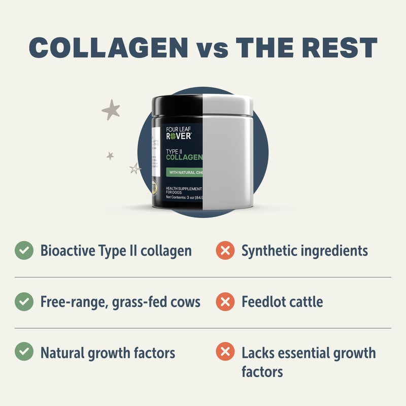 Four Leaf Rover Collagen for Dogs - Type II Grass-Finished Beef Collagen with Chondroitin Sulfate - 30 Day Large Dog Supply, Powder