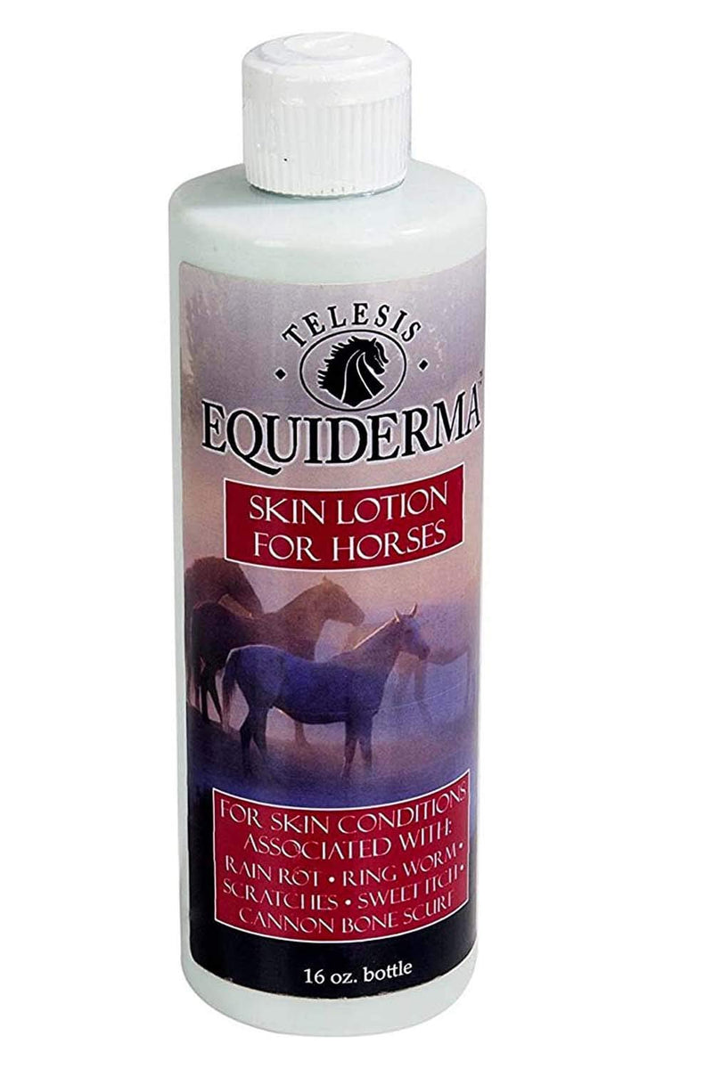 (2 Pack) Equiderma Horse Skin Lotion for Rain Rot, Ringworm, Cannon Bone Scurf with 10ct Pet Faves Pet Wipes - PawsPlanet Australia