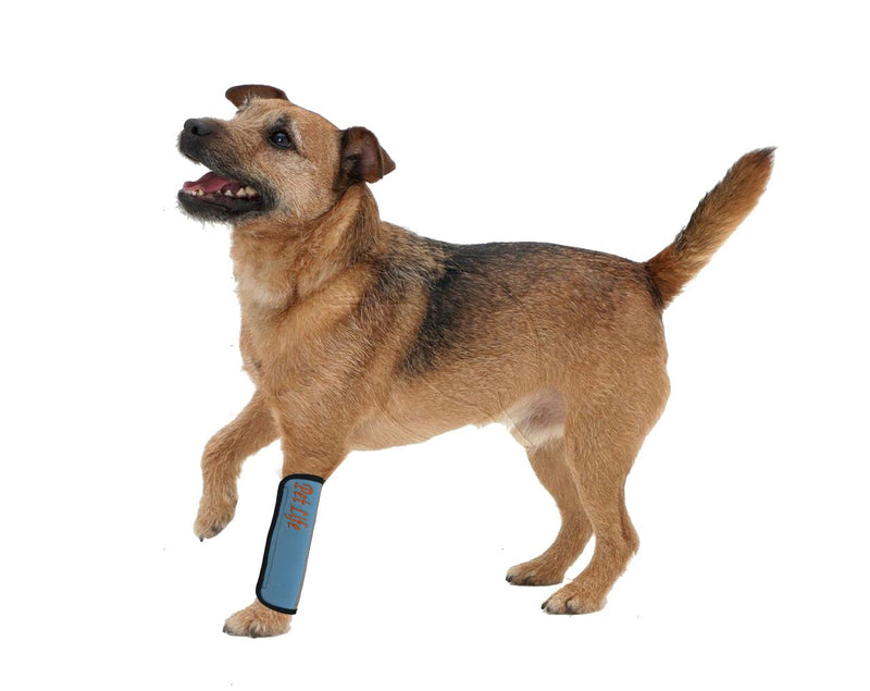 Pet Life ® Neoprene Hip and Joint Reusable Reflective and Protective First-Aid Anxiety and Recovery Cat and Dog Bandage Sleeves Sky Blue LG