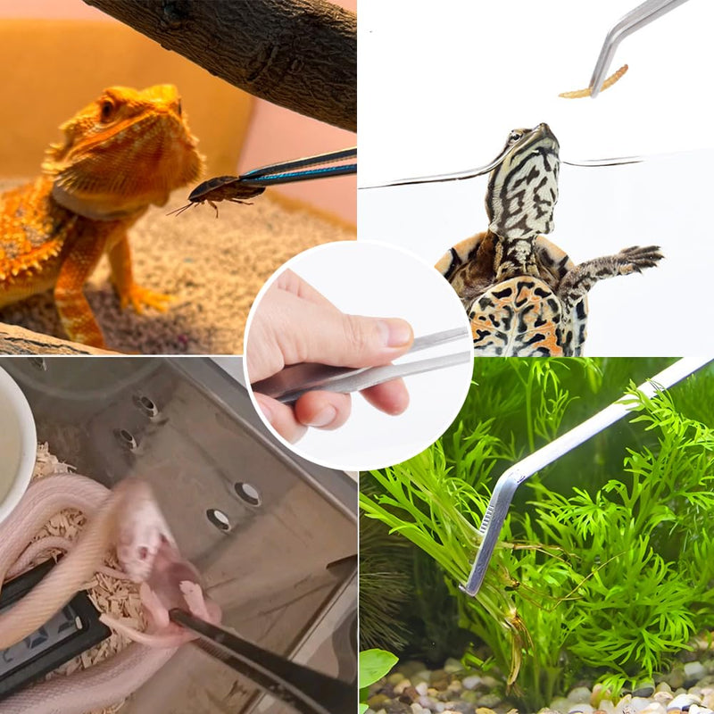 3Pcs Reptile Metal Feeding Tongs, Snake Tank Long Tweezers Fit Bearded Dragon Tarantula Spider Gecko Lizard Frog Turtle Ball Python Aquarium Terrarium - PawsPlanet Australia
