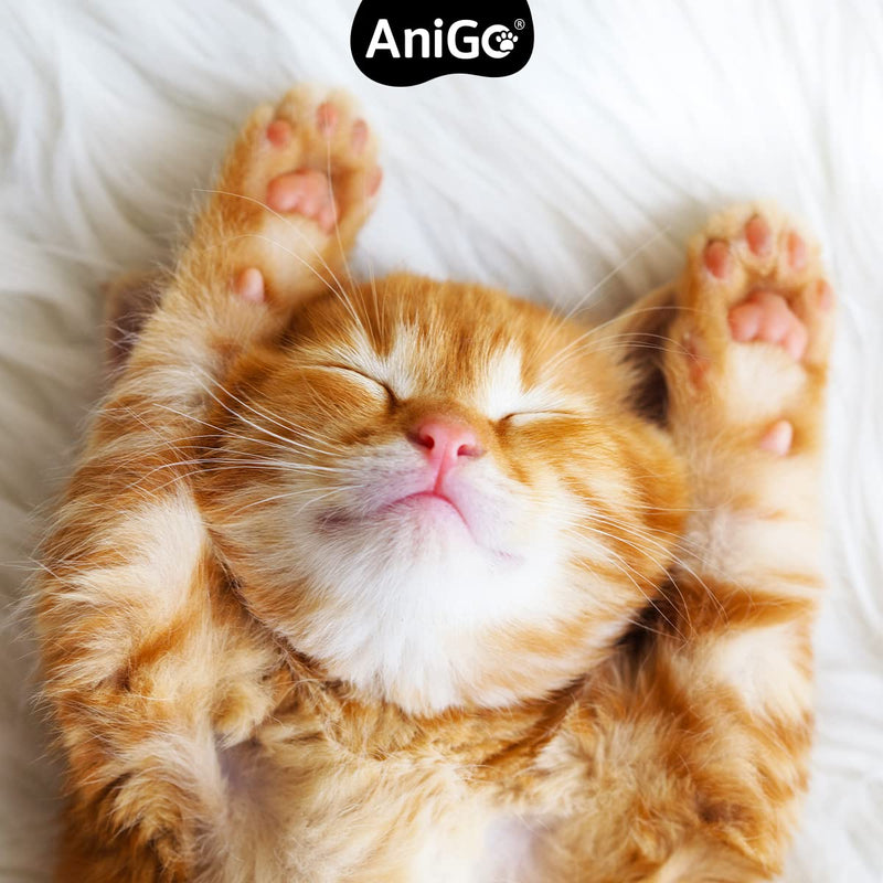 AniGo ear mite oil 50ml immediately effective remedy for cats - against ear mites with chamomile for cats, gentle care for itching in the ear, ear drops for mites, ear cleaner - PawsPlanet Australia
