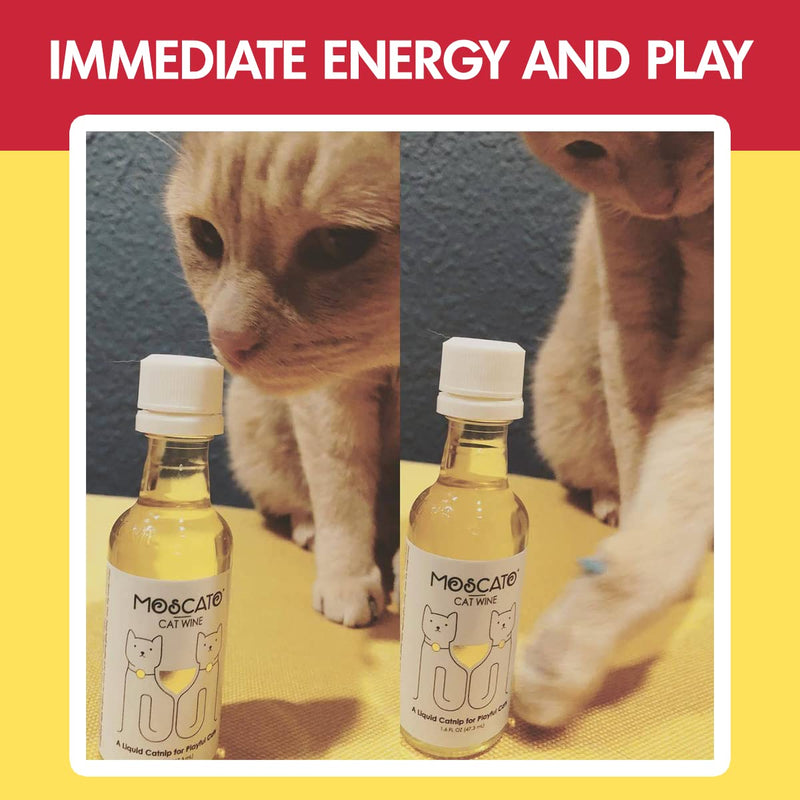 PetWineShop Cat Wine Pawty Pack Catnip Wine CatWine Set for Cats & Kittens - PawsPlanet Australia