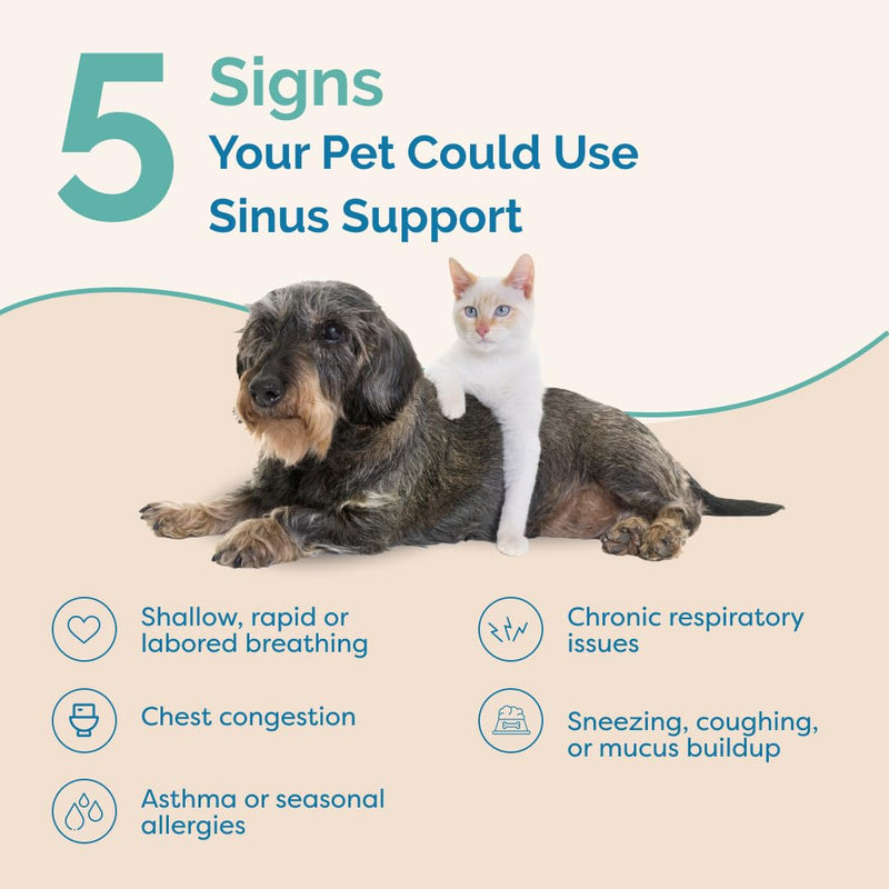 PranaPets Sinus Support Liquid Supplement for Pets | Naturally Supports Cat & Dog Sinus Relief | Natural Formula for Congestion - PawsPlanet Australia