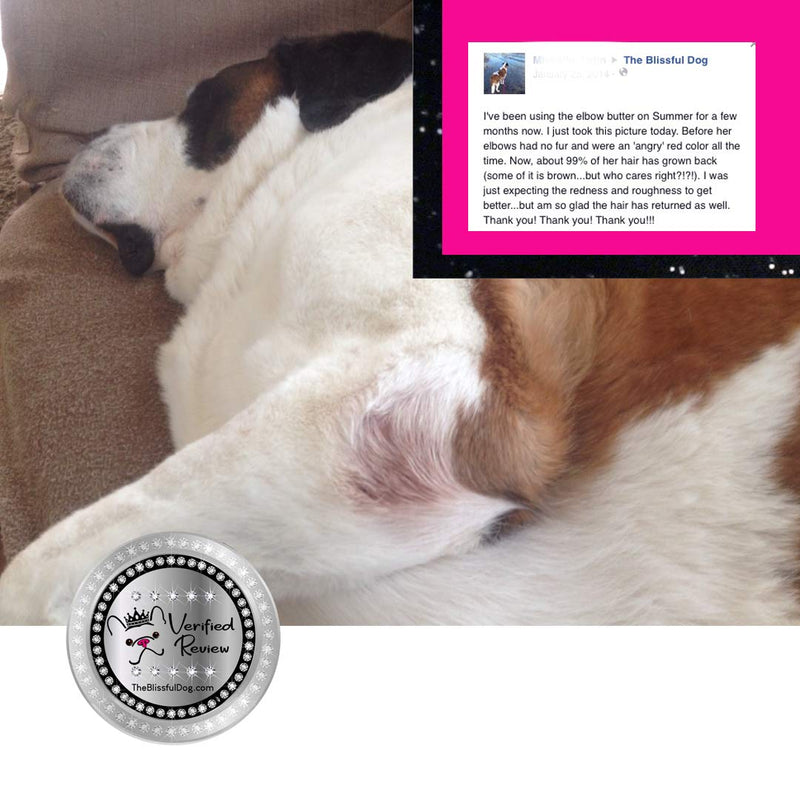 The Blissful Dog Elbow Butter Moisturizes Your Dog's Elbow Calluses - Dog Balm 0.15 Ounce - PawsPlanet Australia