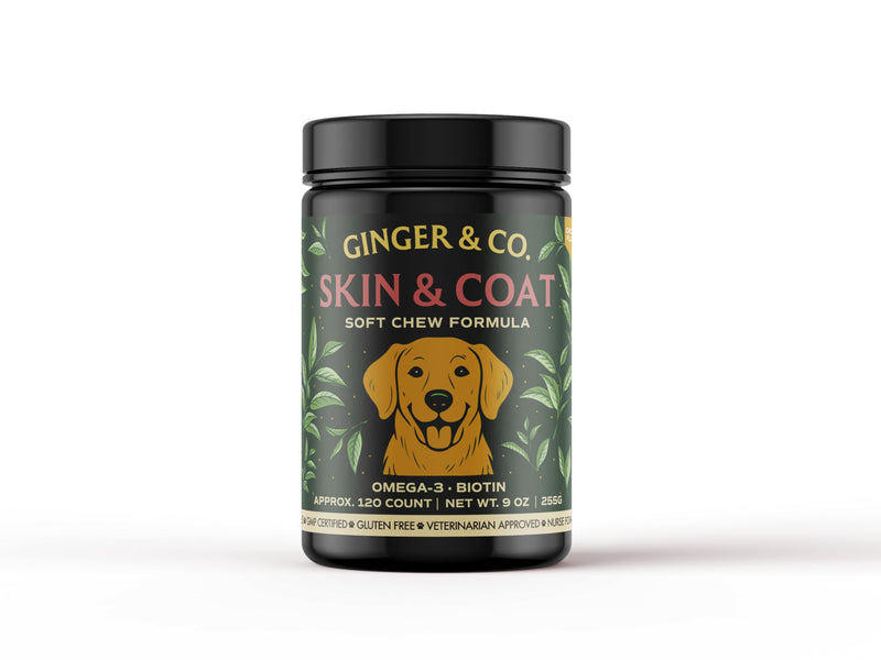 GINGER & CO. Skin & Coat Support Chews for Dogs – Omega 3 & Salmon Oil 120CT