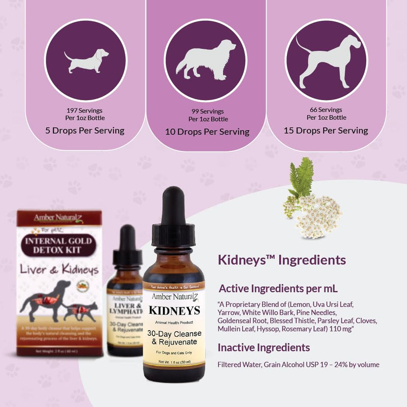 AMBER NATURALZ Internal Gold Detox Kit for Dogs, Cats, Birds, Rabbits, and Guinea Pigs | Herbal Support for Liver and Kidney Health | Natural Aid for Liver and Kidney Functions
