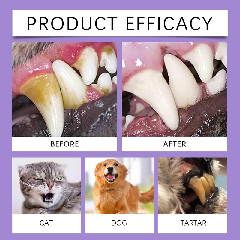 Dog Dental Care Spray, Dogs Teeth Oral Care Cleaning Spray, Breath Freshener and Teeth Cleaning, Reduce Tartar Freshen Breath, Support Clean and Teethes Aid in Daily Oral Use, No Brushing 50 ml